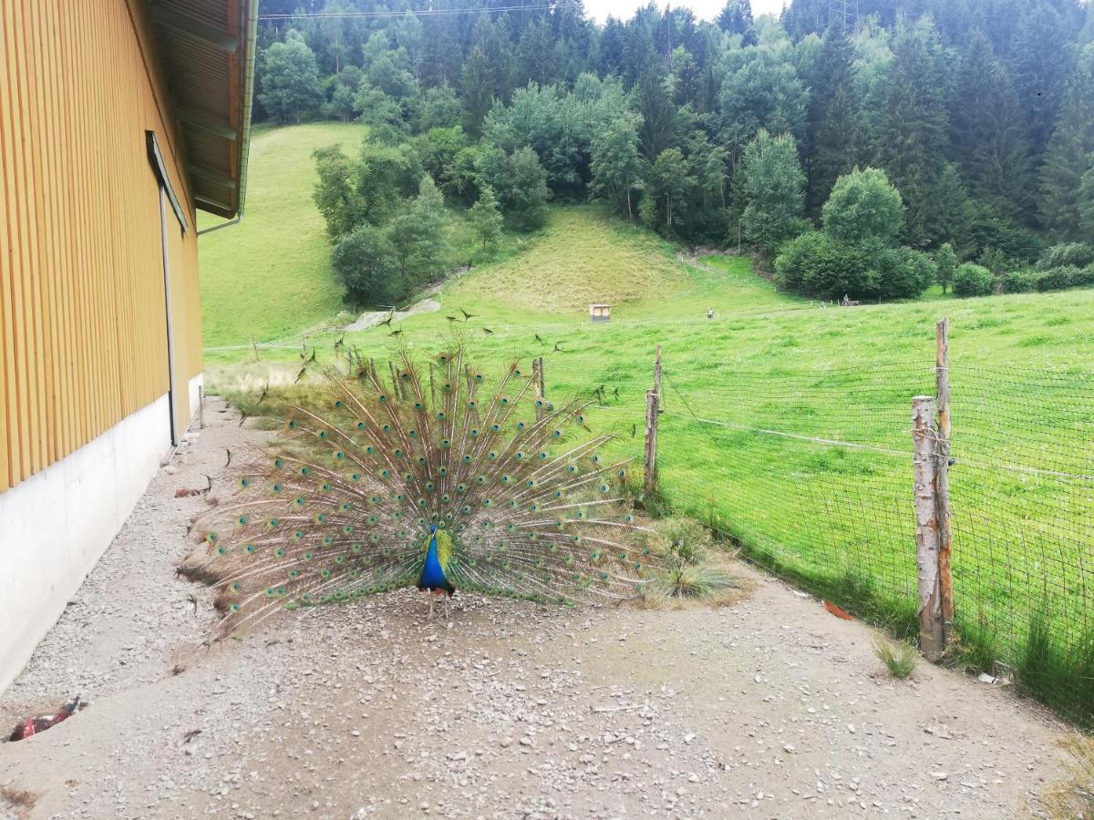 ウダーンスBoeglerhofアパートメント エクステリア 写真